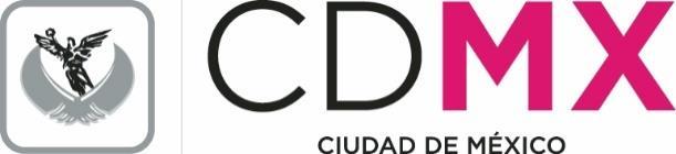GOBIERNO DE LA CIUDAD DE MÉXICO SISTEMA DE MOVILIDAD 1 (SISTEMA M1) DIRECCIÓN EJECUTIVA