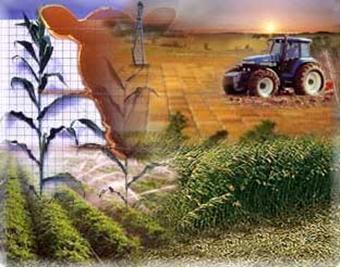Agroindustrial Bolivia frente a los países vecinos tiene ventajas comparativas, ya