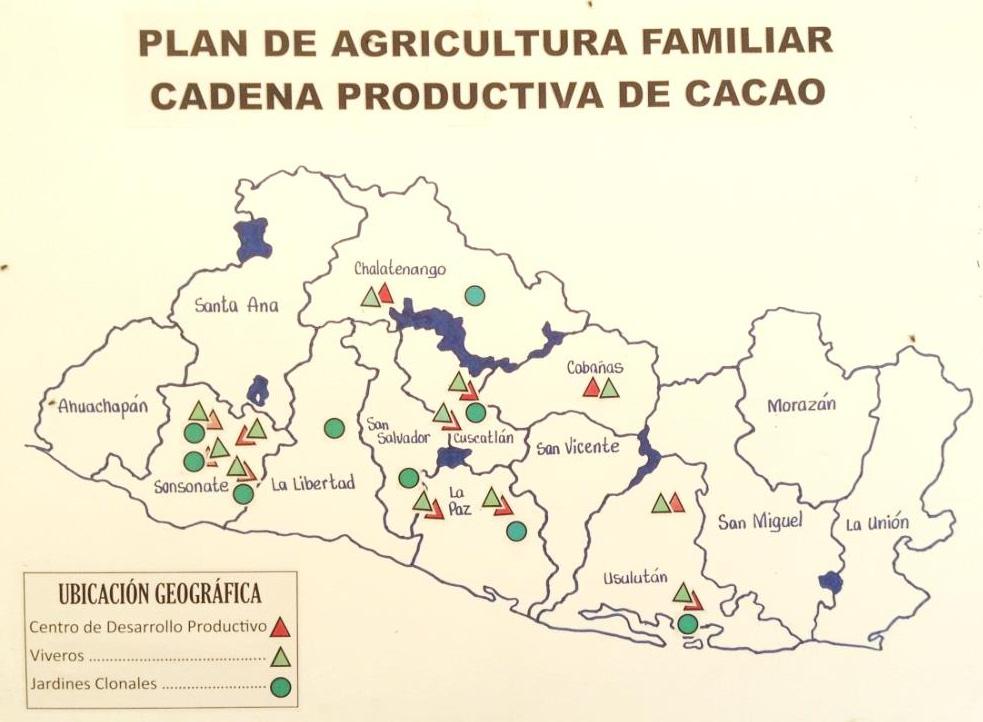 Aprovechando la oportunidad que se genera a partir de esta demanda insatisfecha, en los últimos años se han realizado esfuerzos importantes para reactivar el cultivo del cacao en el país.