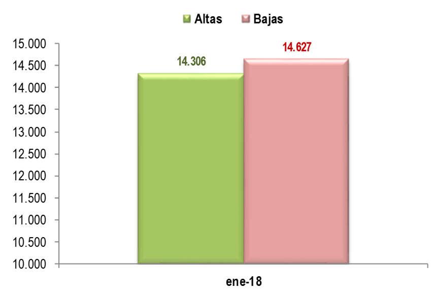 Altas, bajas y media diaria de autónomos Andalucía Enero 2018 Media diaria Altas 14.306 461,48 Bajas 14.627 471,84 Saldo mes -321 Durante el mes de enero, en Andalucía se han dado de alta 14.
