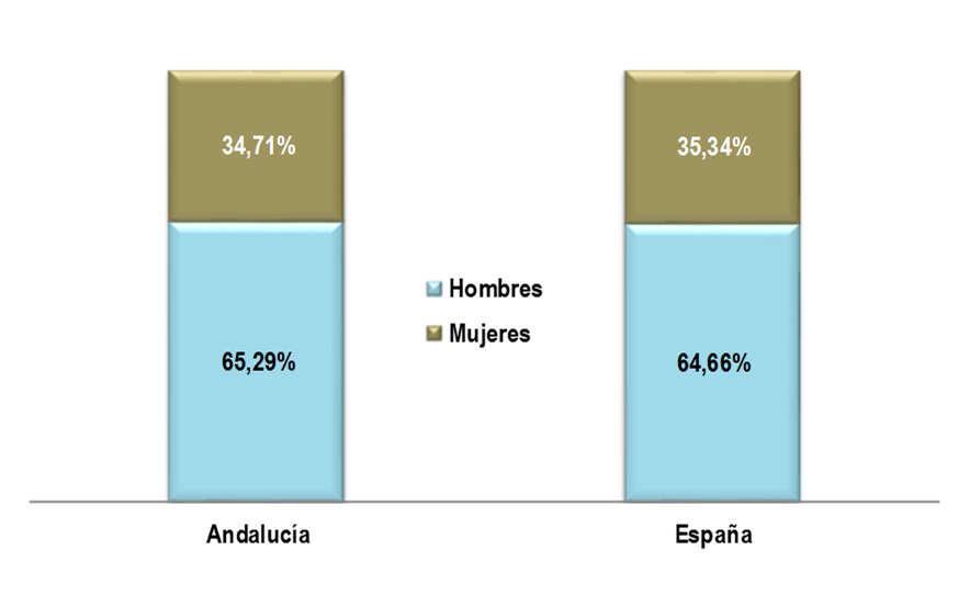 Distribución de autónomos por sexo Enero 2018 Autónomos según el sexo. Andalucía y España Hombres % Mujeres % Total Andalucía 333.479 65,29% 177.289 34,71% 510.768 España 2.065.433 64,66% 1.129.