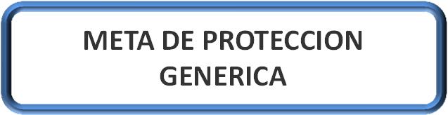 FORMULACIÓN DEL PROBLEMA METAS DE PROTECCION (PROTECTION