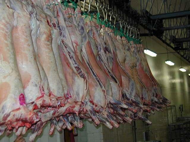 Comercio mundial de carne ovina UE NZ Medio Oriente EEUU Australia Uruguay Japón India Sudáfrica -400-300 -200-100 China China 0 100