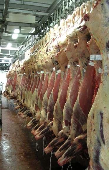 Características del parque industrial (carne) No existen frigoríficos que maten sólo ovinos Heterogeneidad en su composición: frigoríficos exportadores y mataderos