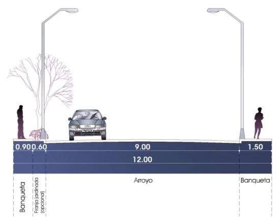 00 metros de ancho mínimo, como lo establece la Ley de Ordenamiento Territorial y Desarrollo Urbano Sustentable del Estado de Morelos y 18.00 metros para vialidades primarias (avenidas).