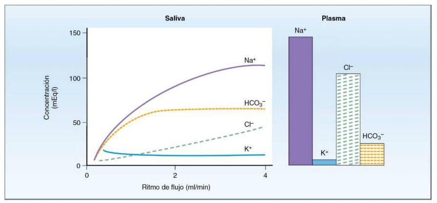 Secreción Salival: Concentración de iones según tasa de flujo de la secreción salival A