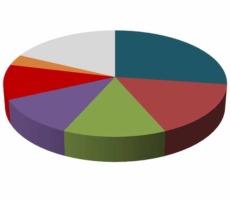 Colocaciones comerciales segregadas por actividad económica (abril 2015) (% del total de la cartera comercial) 3% 11% 11% 8% 5% Servicios comunales, sociales y 12% 12% 18% 13% 13% 27% 22% 16%