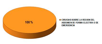 Del total (150), 25 (16.5 %) identificaron correctamente las estructuras anatómicas de la región del abdomen en el modelo impreso según la Terminología Anatómica Internacional, el 13.
