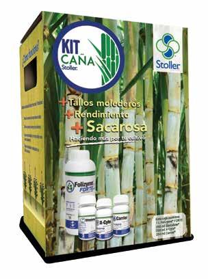 KitsStoller Haciendo más por tu cultivo CAÑA 1L 1/4 L 1/4 L 1/4 L Diseñado para generar mayor rendimiento y concentración de azúcar.