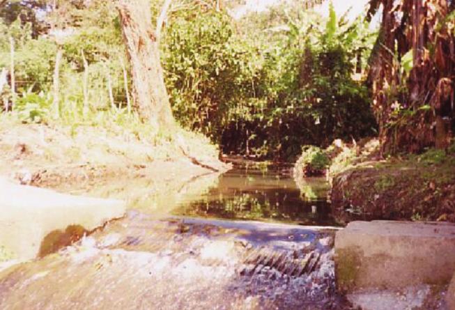 1996) que utilizan organismos bénticos como indicadores para determinar la calidad del agua de los ríos.