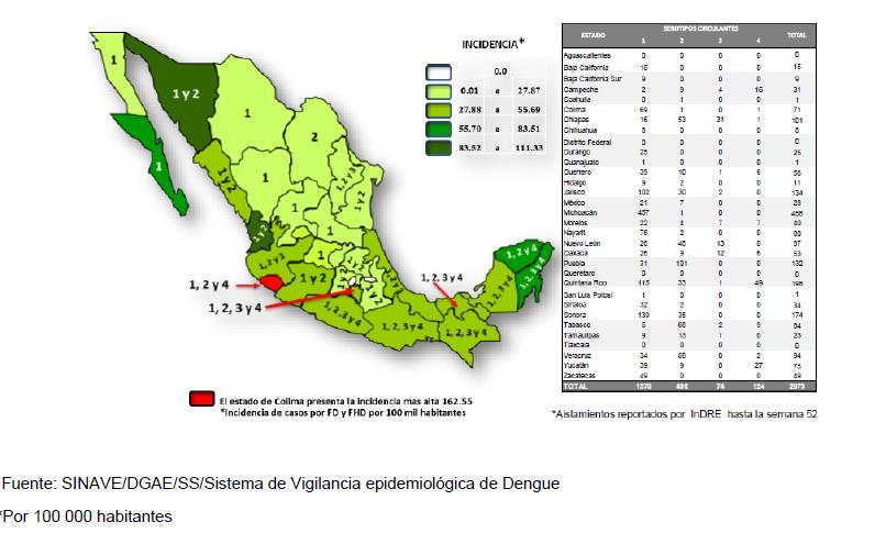 Gráfica 1.2 Serotipos e incidencia por Dengue por entidad federativa. México, 2015 Gráfica 1.3 Casos e Incidencia de Dengue por grupo de edad. México, 2015 3.