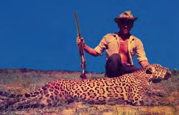 Figura 1. Cazador de jaguares en la época de las pieles. Ruperto Herrera. Retoque color Julio García Robles Figura 2. Aprovechamiento de tortugas por comunidades indígenas. Foto:.