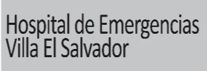 comprende: 5 Asistentes Administrativos, 5 especialistas de labor administrativa, 6 técnicos administrativos y 1 trabajador/a social para el Hospital de Emergencias Villa El Salvador; bajo el Régimen