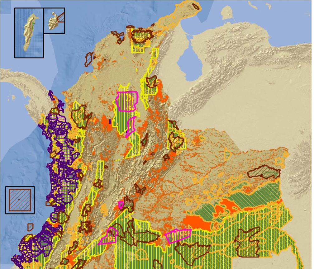 617 Resguardos Indígenas (2010) Zonas de Reserva Campesina Áreas de Bosque sin protección Fuente: MAVDT, Dirección de Ecosistemas cruce del Mapa de Ecosistemas, 2007 con