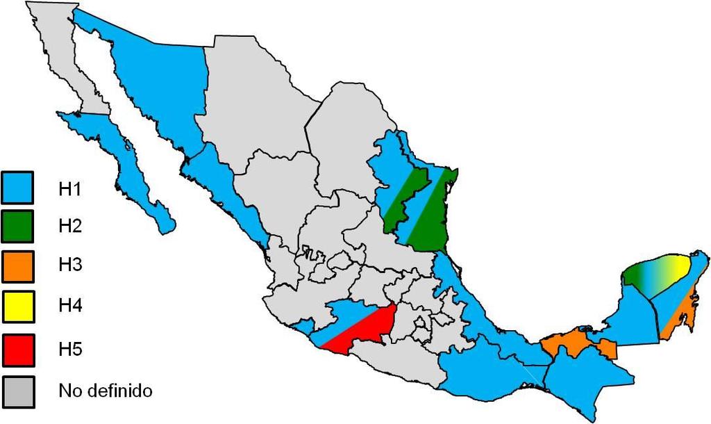 Distribución de Haplotipos de Tamarixia radiata en México