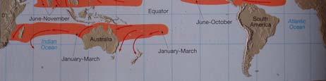 7% huracanes (4) 2 2 2 2 1 1 MAY JUN JUL AGO SEP OCT NOV Olivia 1978 Distribución temporal