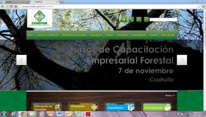 Portal del Centro de Negocios Forestales Objetivo Crear un
