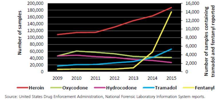 Heroína y opioides sintéticos El mercado de opioides se ha diversificado Consumo fuera de prescripción de medicamentos opioides Falsificación de recetas, desviación de medicamentos,