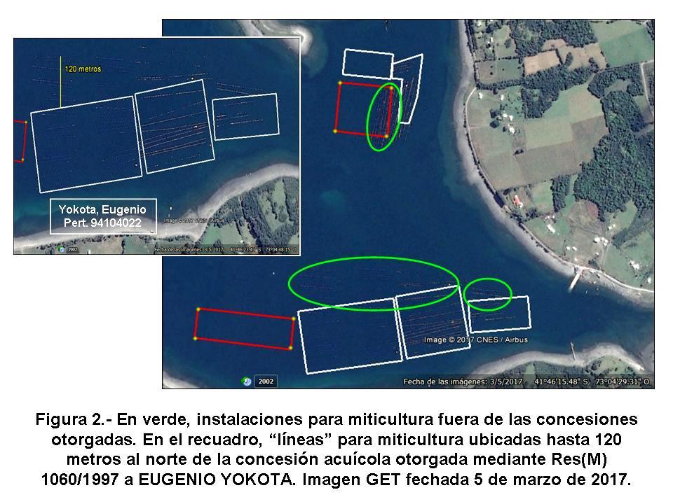 La misma figura muestra que en las concesiones acuícolas otorgadas para salmonicultura (polígonos rojos) no existen estructuras de cultivo ni señal alguna de operaciones en ellas.