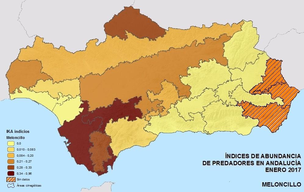 En concreto, se calcularon índices de.25 rastros/km de meloncillo (solo por debajo de Andévalo.5 y Campiña de Cádiz.