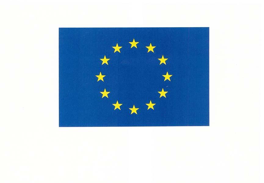 EMBLEMA EUROPEO Cómo utilizar el emblema de la Unión Europea?