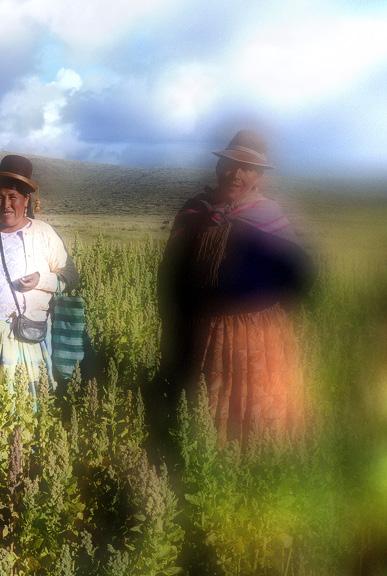 Trabajo conjunto en los Andes Seis gobiernos de países andinos Argentina, Chile, el Perú, el Ecuador, Colombia y el Estado Plurinacional de Bolivia están llevando a cabo un trabajo conjunto para