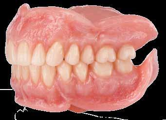 propiedades químicas hablan por la línea de dientes SR Vivodent.