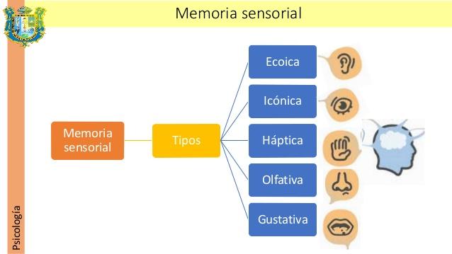 3 2. La memoria a corto plazo (MCP).