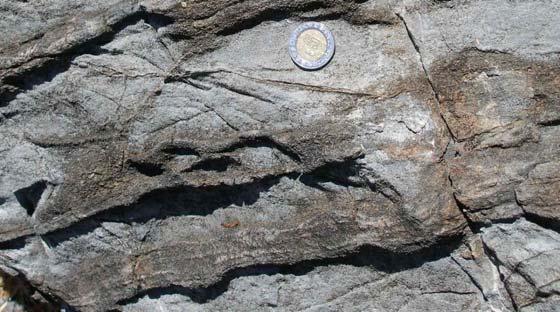 ocasionalmente arenosa sin fósiles, en contacto con cuarcitas masivas muy fracturadas, (discordancia) seguidas