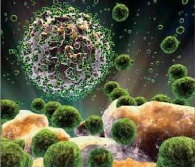 Casos de VIH (2003-2017 ) i Sida (1986-2016) El virus de la immunodeficiència humana (VIH) infecta a les cèl lules del sistema immunitari, alterant o anul lant la seva funció.