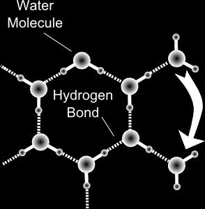 Los dos enlaces no están opuestos, sino que forman un ángulo de 104,45 debido a la hibridación del átomo de oxígeno así que, en conjunto, los tres átomos forman una molécula angular, cargado