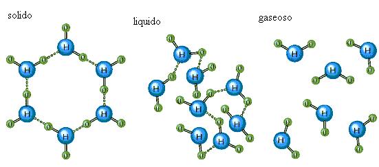 1.3 Propiedades Se denomina cohesión a la tendencia de las moléculas de agua a permanecer unidas por puentes de hidrógeno.