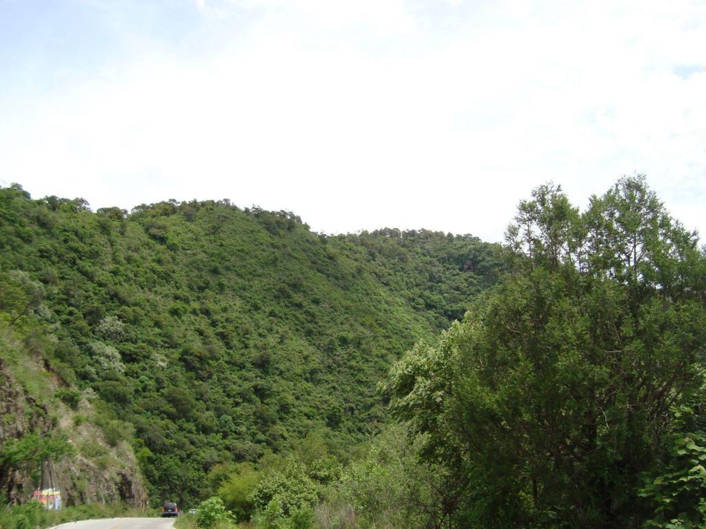 765 m 2 que corresponden al parque Hermenegildo Galeana y fue decretado como parque el 18 de Julio de 1981.