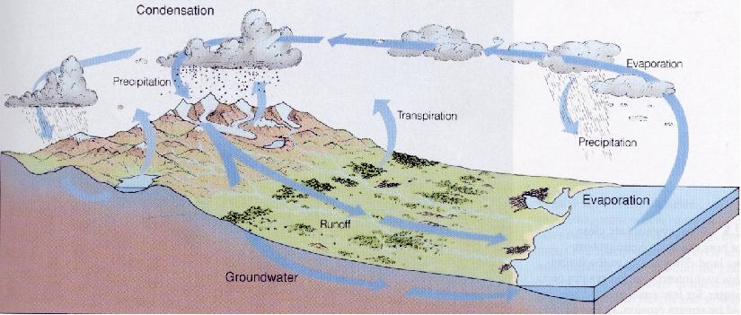 Material supercial Sistema hidrológico Es un ciclo complejo y continuo a través del cual el agua se desplaza del océano a la atmósfera (por evaporación); a través de vapor de agua es trasladada por