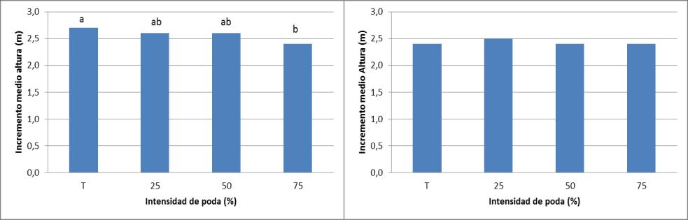 En cambió en Conti 12 pareciera haber una tendencia de disminución de crecimiento en altura con la intensidad de poda, aunque las diferencias son pequeñas (Figura N 2).