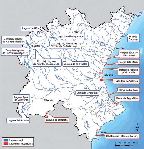 categoría río por sistema de explotación Respecto al total de masas de agua categoría río definidas, casi la mitad de las masas de agua se ubican en el sistema de explotación Júcar, tal y como se
