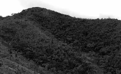 Vestigios de una lengua originaria en el territorio de la cultura chachapoya Gachmal.- [ ], montaña donde nacen quebradas, Colcamar Shilmal.- [ ], ladera, Quinjalca Figura 6.