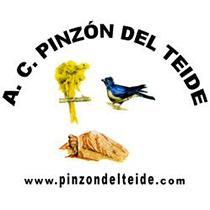 Concurso Ornitológico Isla de Tenerife 2016 Asociación de Canaricultura Pinzón del Teide Clasificación Jaulas con Equipos GRUPO: D-1 Canarios de color: Blanco Recesivo Castilla Arteaga, Francisco