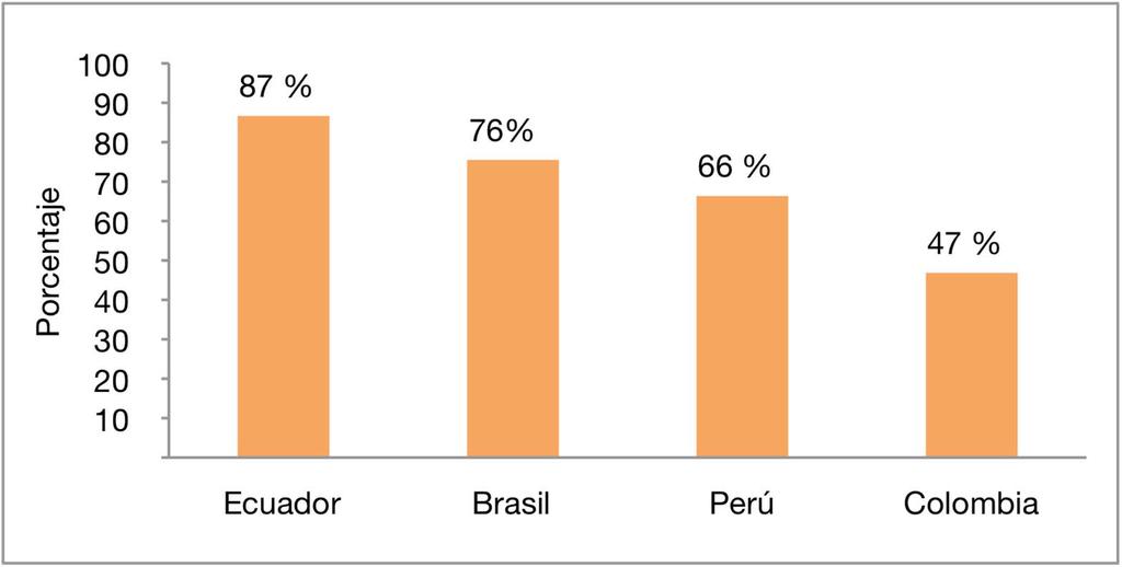 Área de influencia 4 países 63 Unidades Administrativas sub nacionales 8 millones de Km 2 45% de la superficie de Sudamérica