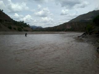 lo cual pudo deberse a las precipitaciones que se dieron en la región. Río Pilcomayo Puente Mendez, Bolivia: a. Identificación: BPM-9 b.