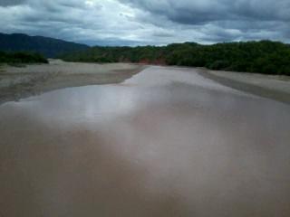 Los datos indican que el río Pilaya recibió las primeras lluvias (los valores obtenidos en época seca están alrededor de los 1230 µs/cm) presentando todavía una turbiedad alta y ph básico.