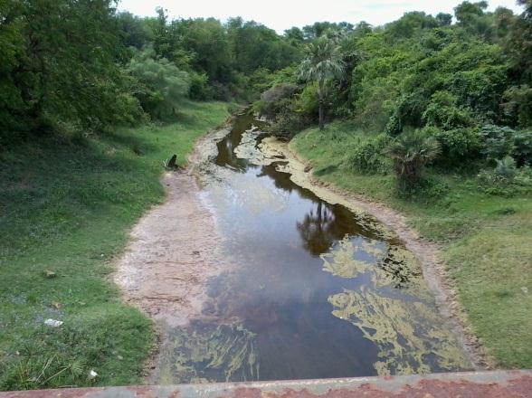 Río Confuso Cadete Pando, Paraguay: Las nacientes del río confuso se encontraban secas, lo cual es normal en la época seca. a. Identificación: PCP-9 b.