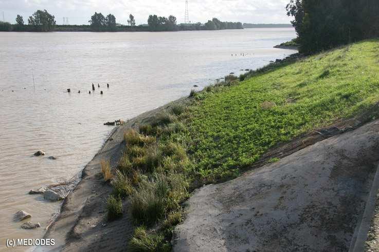 Propuestas Propuestas para la Restauración Fluvial.