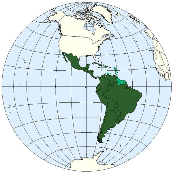 Latin America Area 21,069,501 km² Countries 21 Population 569 Million Aprox. 10% of world population and 10% of world GDP GDP Largest Urban Agglomerations [2][3] $3.33 Trillion (exchange rate) $5.