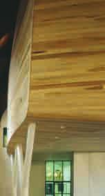 Durabilidad La madera es no durable. El duramen es medianamente impregnable con tratamientos de protección, mientras que la albura es impregnable.