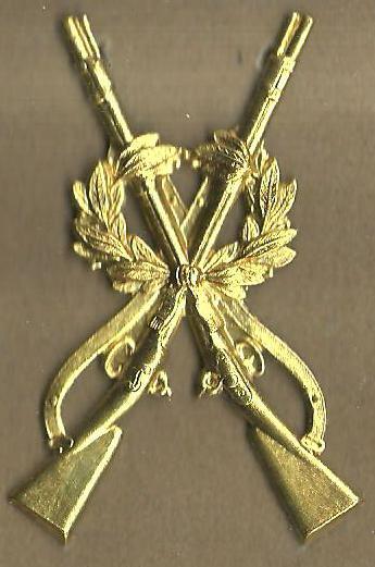 6 Una orden de la Regencia del Reino de 7 de agosto de 1869 creaba un interesante distintivo para la tropa que demostrara especiales dones en el empleo del fusil.