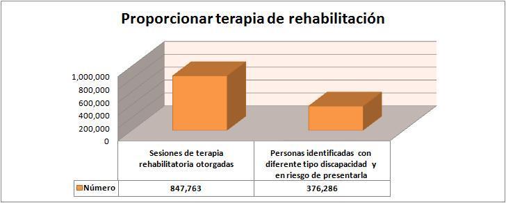 Fuente: Sistema de Indicadores y Estructura Programática 2012. 3.- Proporcionar terapia de rehabilitación.