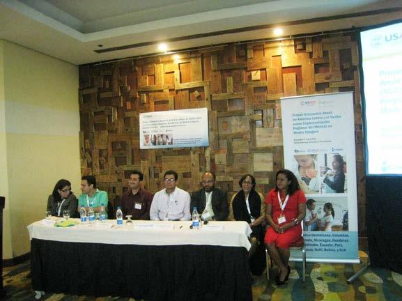 Participantes de Centroamérica y el Caribe formaron un mini-panel y contestaron preguntas del grupo plenario.