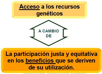 genéticos, derivados contenidos y conocimientos tradicionales asociados bajo condiciones de PIC y MAT Mecanismos sobre distribución de