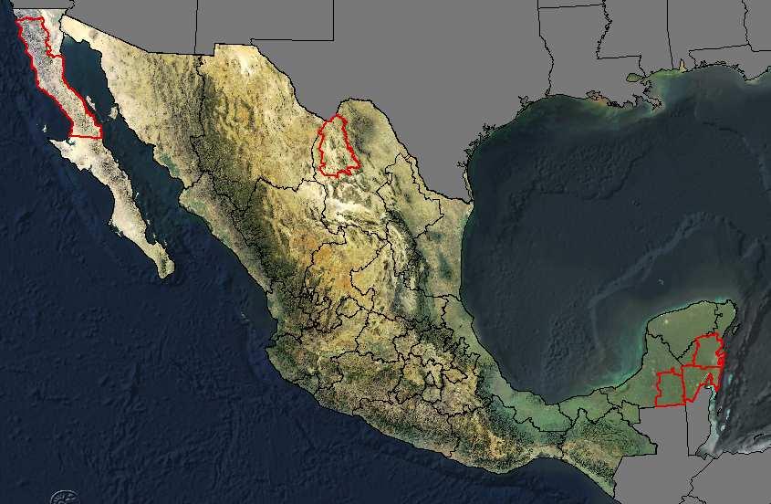 Municipios con mayor acumulación (Mg) Calakmul, (Campeche) Othón P. Blanco. (Quintana Roó) Felipe C.